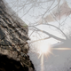 Image for article titled Shooting Challenge: Double Exposure, Gallery 2
